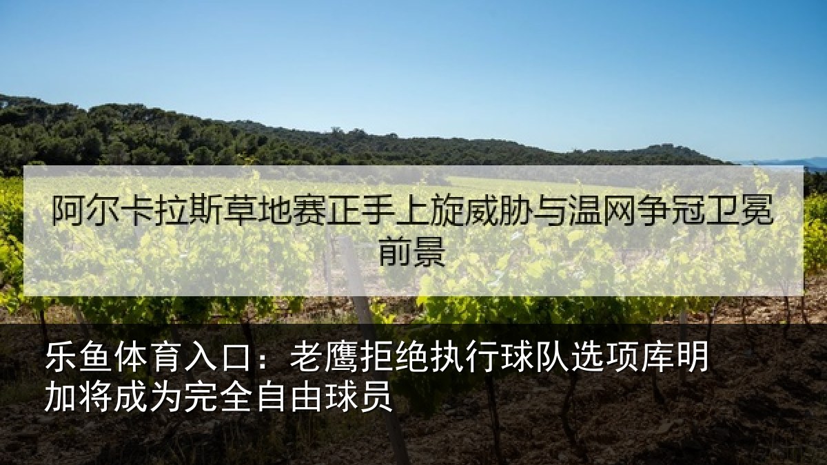 乐鱼体育入口：老鹰拒绝执行球队选项库明加将成为完全自由球员