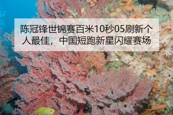 chen-guan-feng-shi-jin-sai-bai-mi-miao-shua-xin-ge-ren-zui-jia-zhong-guo-duan-pao-xin-xing-shan-yao-sai-chang-3-367.jpg