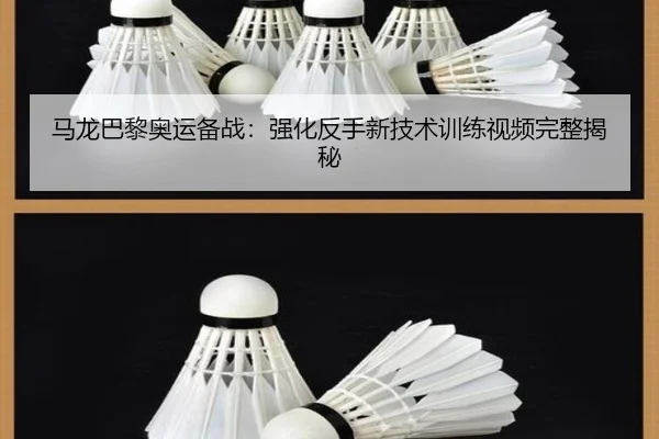 马龙巴黎奥运备战：强化反手新技术训练视频完整揭秘
